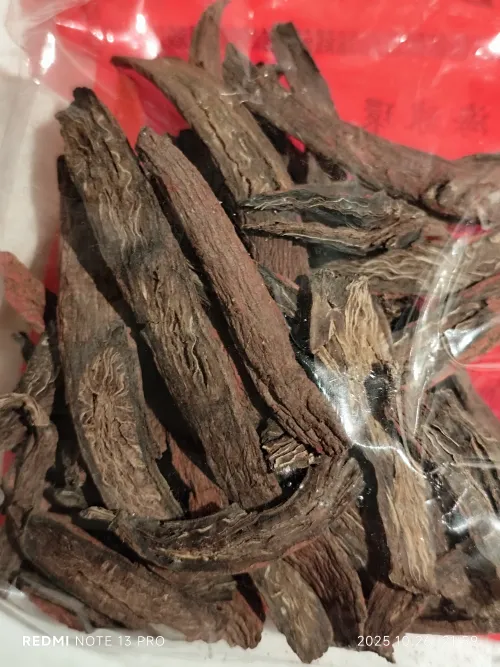 Dragon Apple Root